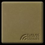 This is a photo of an actual 3” x 3” concrete tile sample integrally colored with Davis Colors’ Palomino (pigment # 5447). This video reproduction is just for ideas. Please finalize your color selection from our printed color card, hard tile samples or job site test.