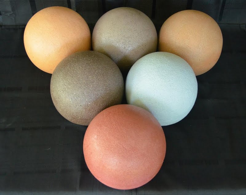 Davis Colors, 8” spheres (made with mortar mix) ‐ Tile Red, Kailua, Cobalt Blue, Harvest Gold, Taupe and San Diego Buff.