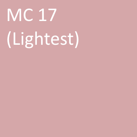 Davis Colors Mortar Pigment MC17 Lightest