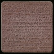 This is a photo of an actual 3 x 3 concrete tile sample integrally colored with Davis Colors Tile Red (pigment #1117) with a broom finish. This video reproduction is just for ideas. Please finalize your color selection from our printed color card, hard tile samples or job site test. This is a photo of an actual 3 x 3 concrete tile sample integrally colored with Davis Colors Tile Red (pigment #1117) with a broom finish. This video reproduction is just for ideas. Please finalize your color selection from our printed color card, hard tile samples or job site test.