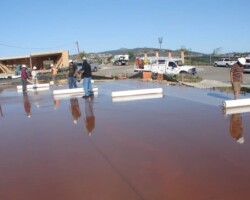 The wet curing process begins with covering the surface of the concrete with a 1/8” to 1/4” layer of water. Here the contractors are starting to roll out McTech Group’s UltraCure NCF™ curing blanket. This curing method is designed to provide thorough hydration and even curing. To learn more about UltraCure NCF™ go to http://www.mctechgroup.com/wc_train.html. UltraCure NCF™ is a registered trademark of McTech Group Inc. The concrete is colored with Davis Colors’ concrete color www.daviscolors.com.