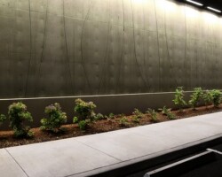 The University of Western States' (uws.edu) anatomy lab north wall. The decorative cast in place concrete wall was colored with Davis Colors "Green Slate" (daviscolors.com). The architect was Office OA, LLC (ooa-architects.com), the general contractor was Precision Concrete Company (T: 503-253-4827), and the concrete contractor was Whitaker/Ellis (T: 503-768-3017).